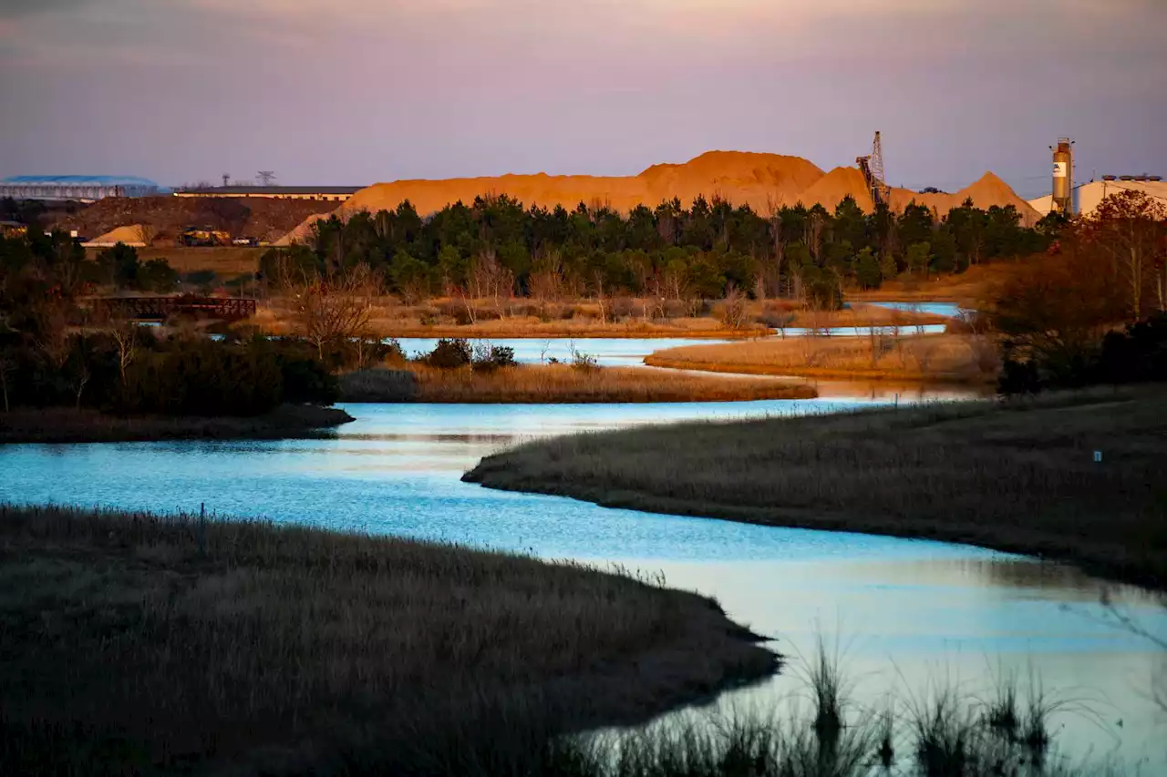 This $15M Houston flood control project is disguised as a beautiful greenspace with trails, fishing pier and dog park