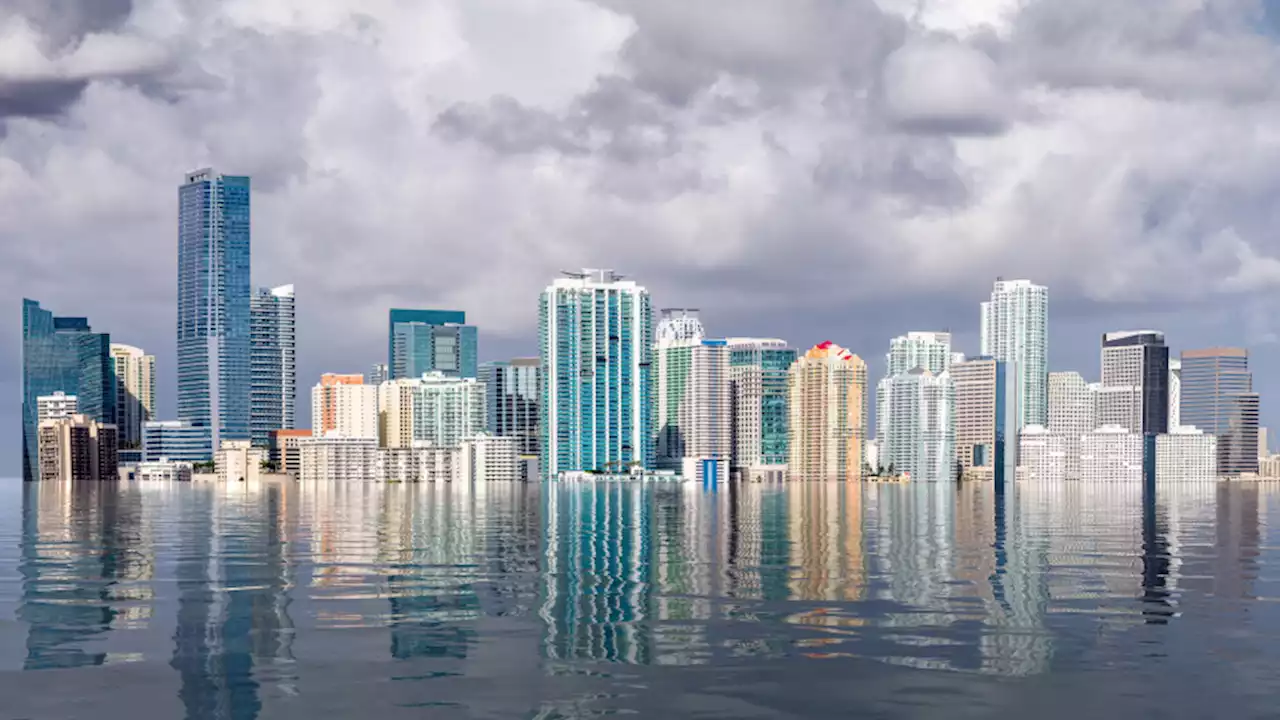 36 cities are at risk of submerging in the wake of rising sea levels