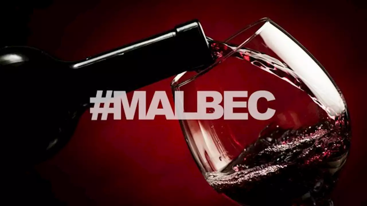 6 datos increíbles que no sabías sobre el vino Malbec