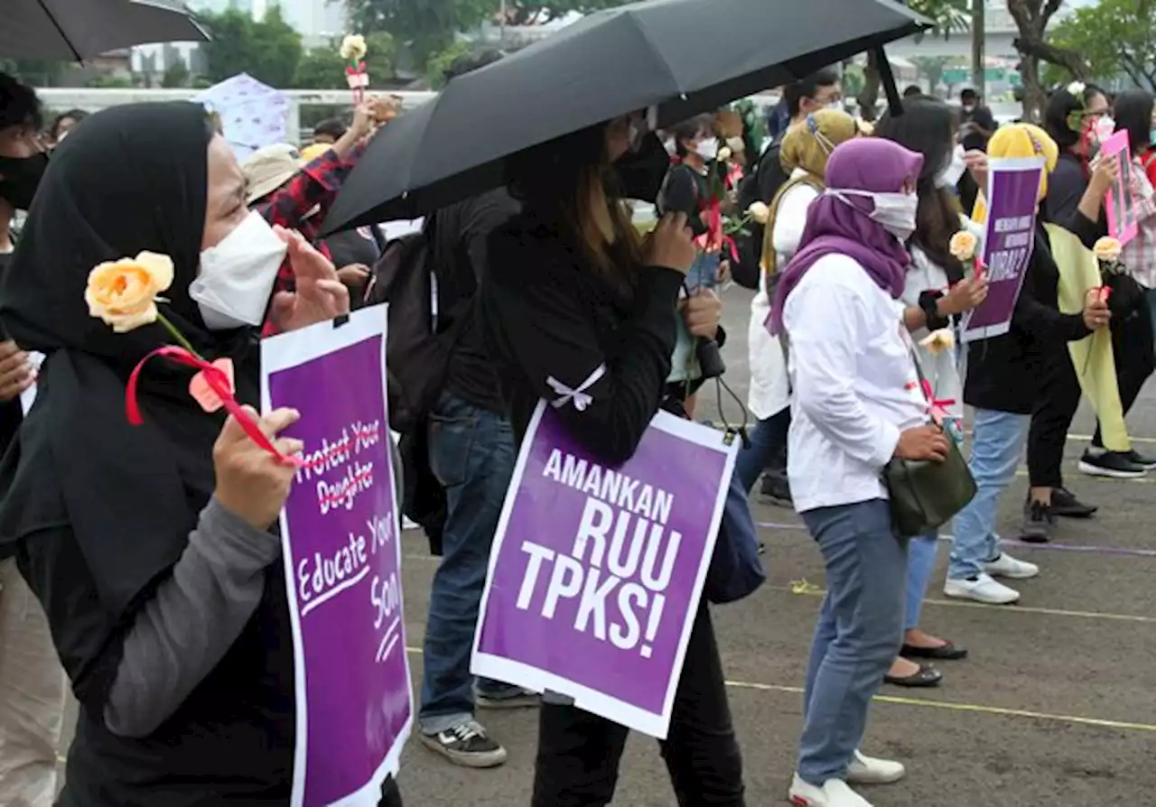 Kalangan Pakar Dukung UU TPKS, Bisa Jadi Acuan Aparat Hukum