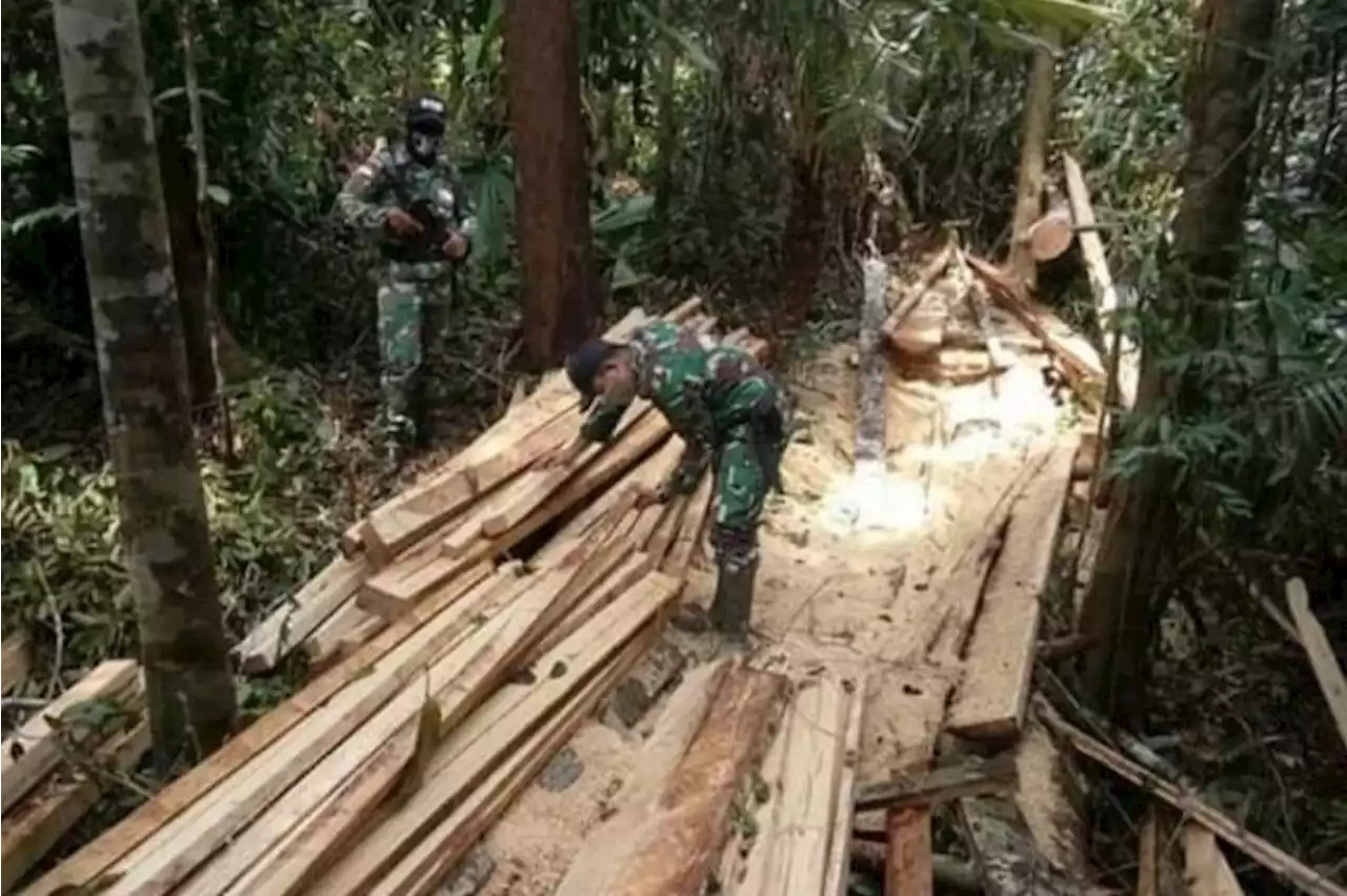 Polres Dharmasraya Bekuk Pembawa Hasil Hutan Kayu Olahan