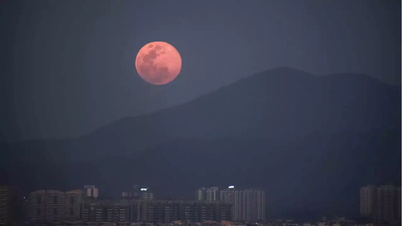 April's Pink Moon Is The First Full Moon Of Spring