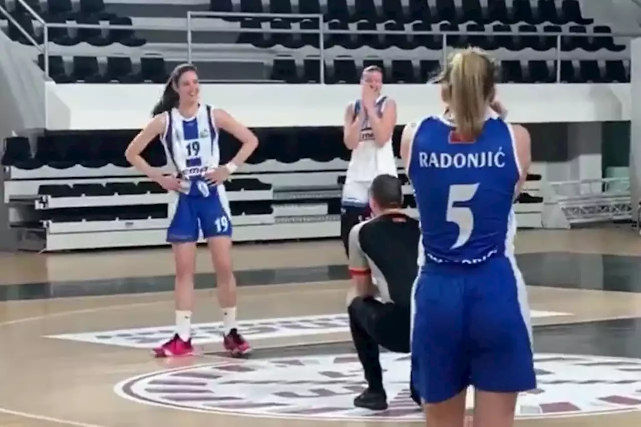 Una propuesta de matrimonio en medio de la final de una liga femenina de básquetbol