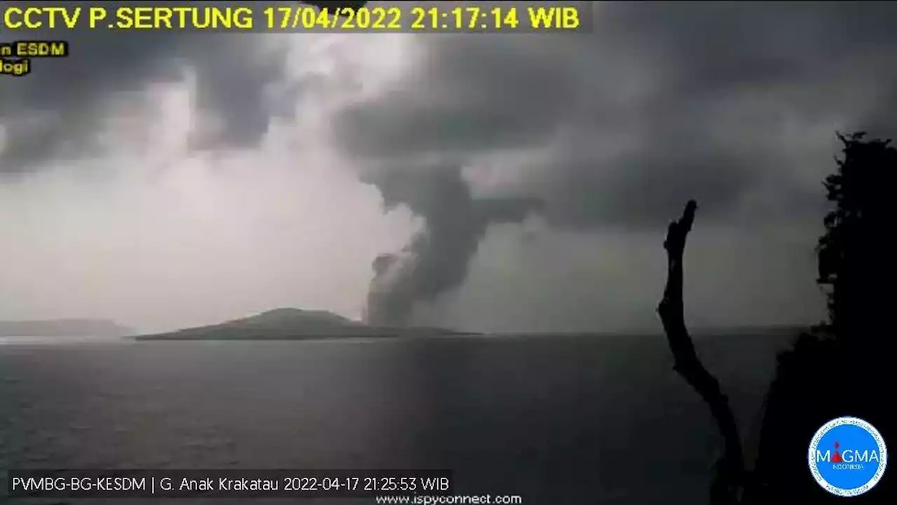 Gunung Anak Krakatau Erupsi, Tinggi Kolom Abu Capai 800 Meter