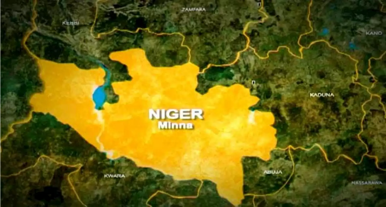 Terrorists kill cop, three others, abduct many in Niger community