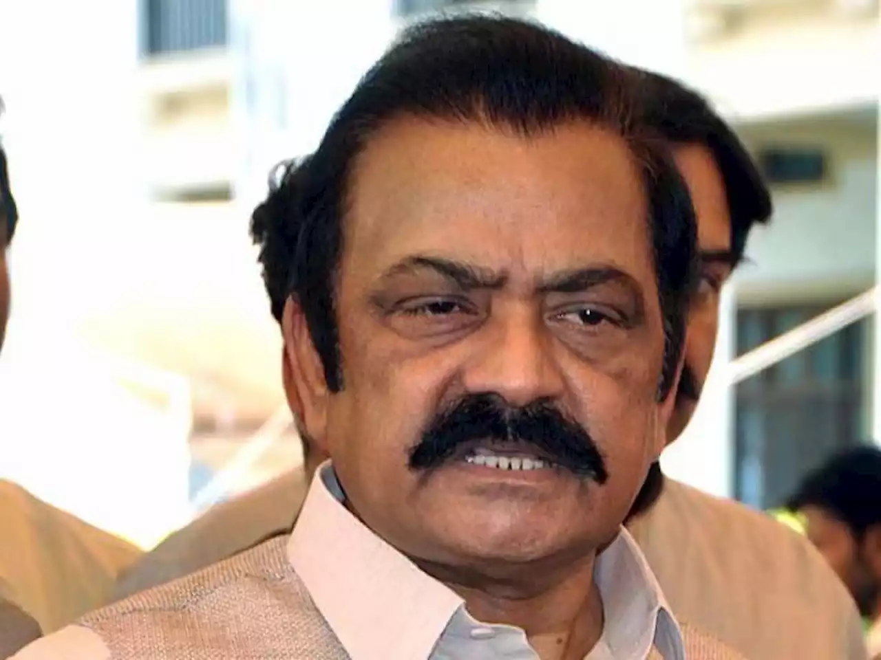 ن لیگ کو 14 اور پی پی کو 11 وزارتیں ملیں گی: رانا ثناء اللہ نے سب کچھ بتا دیا