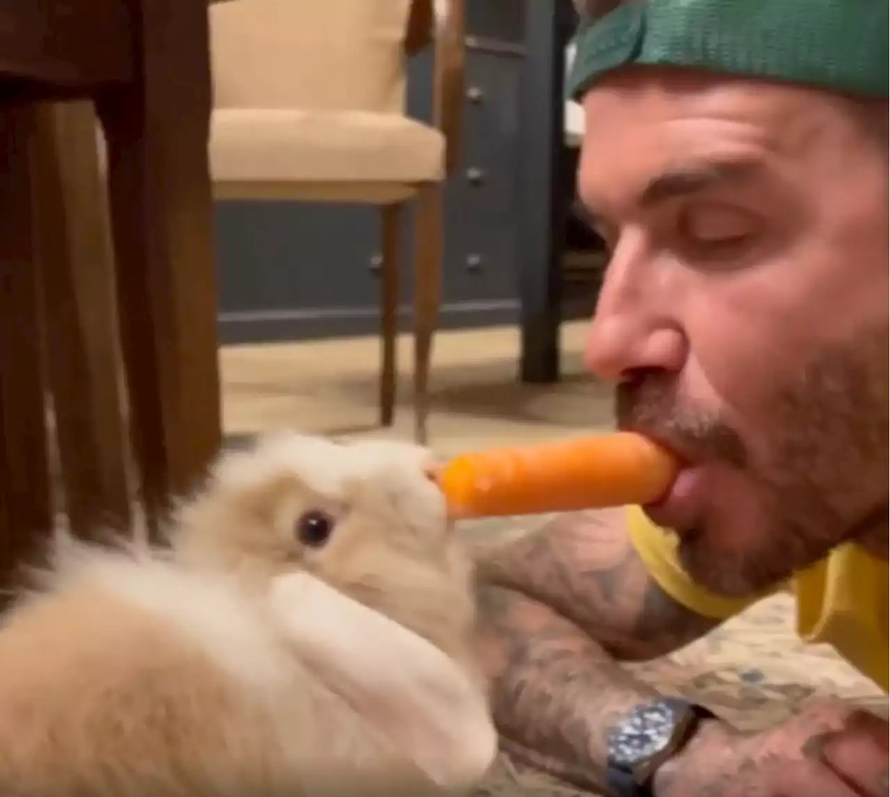 David Beckham shares a carrot with family’s new bunny for Easter