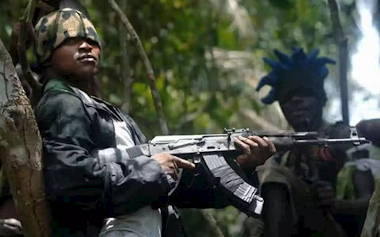 Gunmen attack Niger communities, kill police officer, one civilian; abduct others - Residents