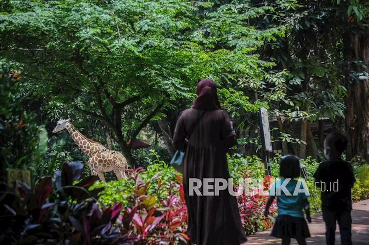 Menikmati Buka Puasa Bersama Dongdong dan Nakula di Kebun Binatang Bandung |Republika Online