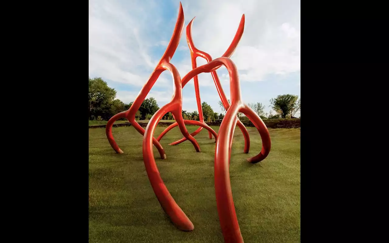 San Antonio Botanical Garden's latest art exhibition showcases the sculptures of Steve Tobin