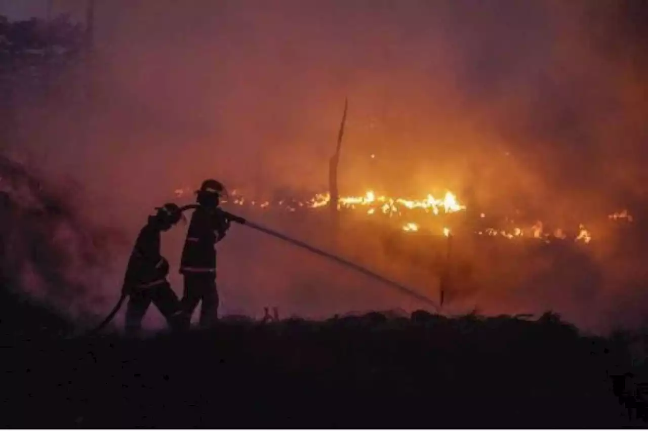 Gara-gara Puntung Rokok, TPS Dekat Permukiman Warga Ludes Terbakar