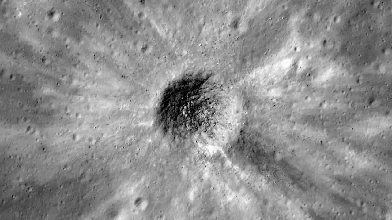 How many space rocks hit the moon every year?