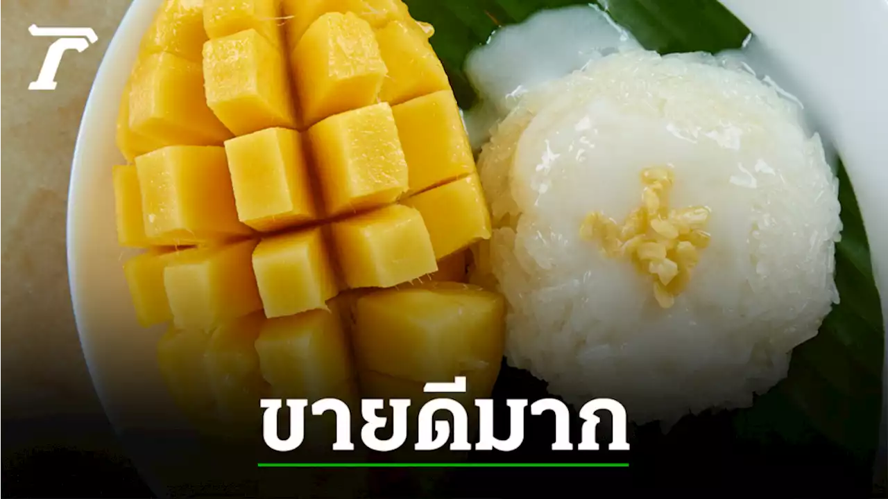 ข้าวเหนียวมะม่วงร้านดัง ยอดพุ่งรับกระแสมิลลิ