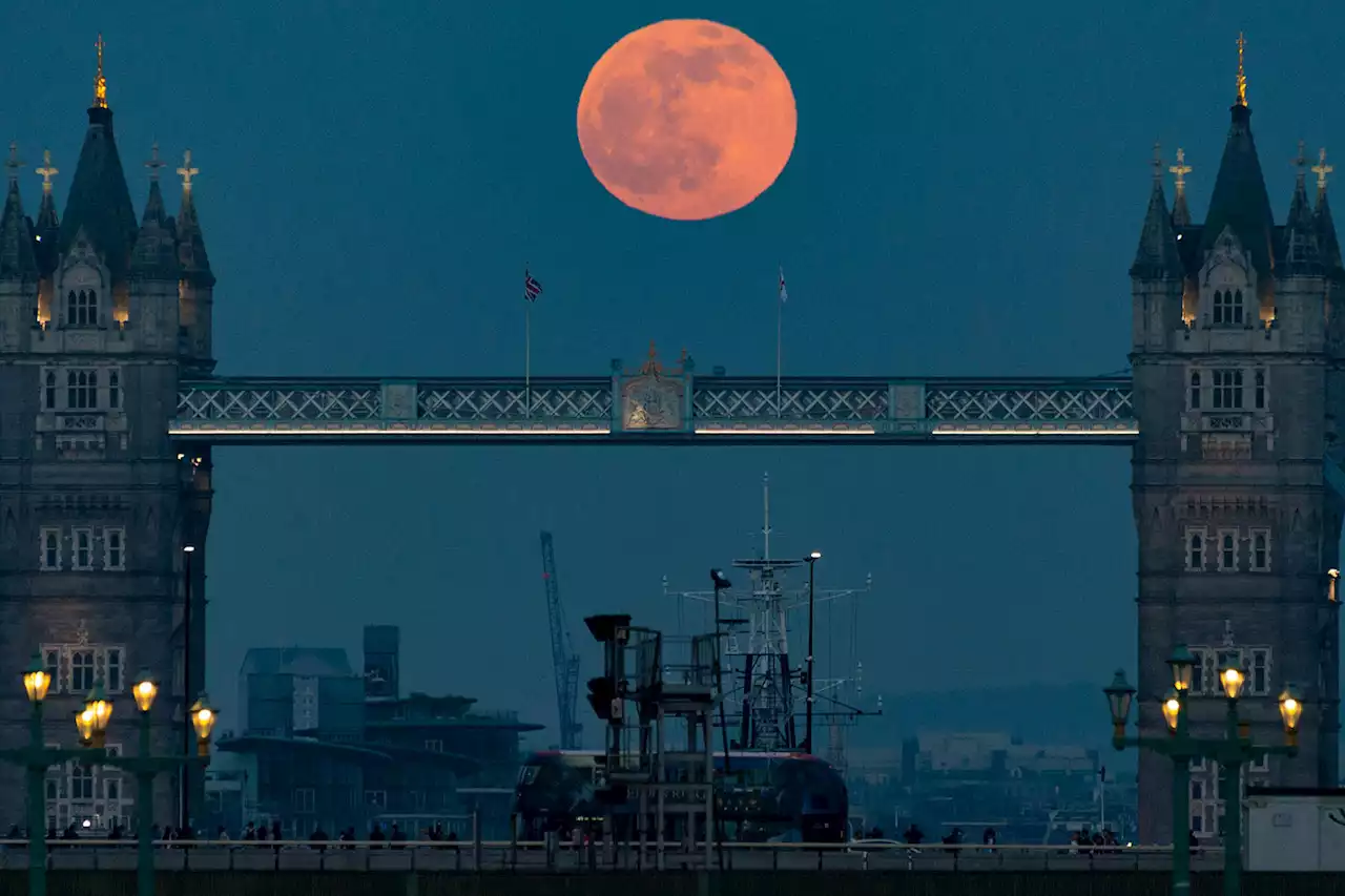 'Pink Moon' lights up night sky - what does spring display mean for you?