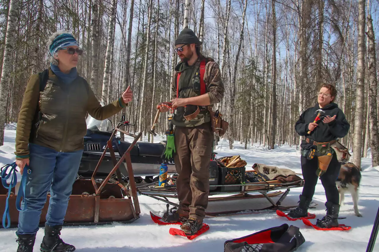 As Alaska warms, birch tree tappers in Talkeetna wrestle with erratic season - Alaska Public Media