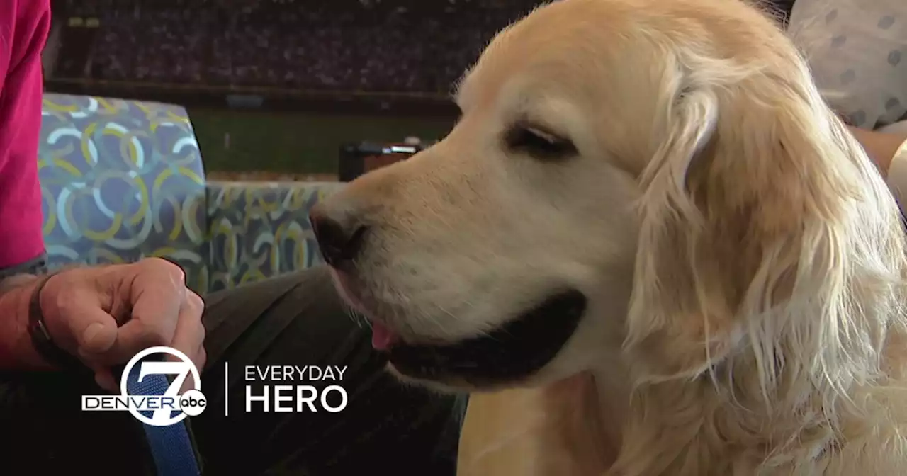 Therapy dog, owner bringing joy to patients at Denver Health