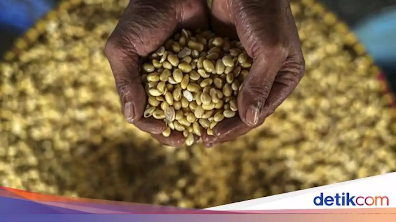 Bulog Sebar 100 Ton Kedelai Subsidi Hari Ini