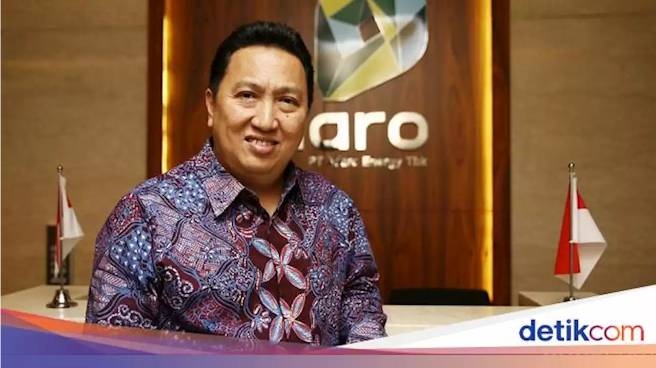 Setoran Penjualan Batu Bara Konglomerat Dipatok 14%, Ini Kata Boy Thohir