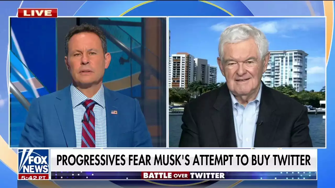 Newt Gingrich: Elon Musk a 'genuine threat' to 'corrupt' Big Tech