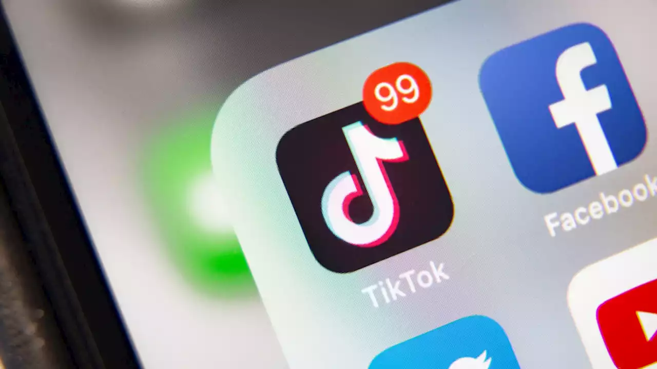 TikTok could substantially enhance its artificial reality success. Faster than Snap?