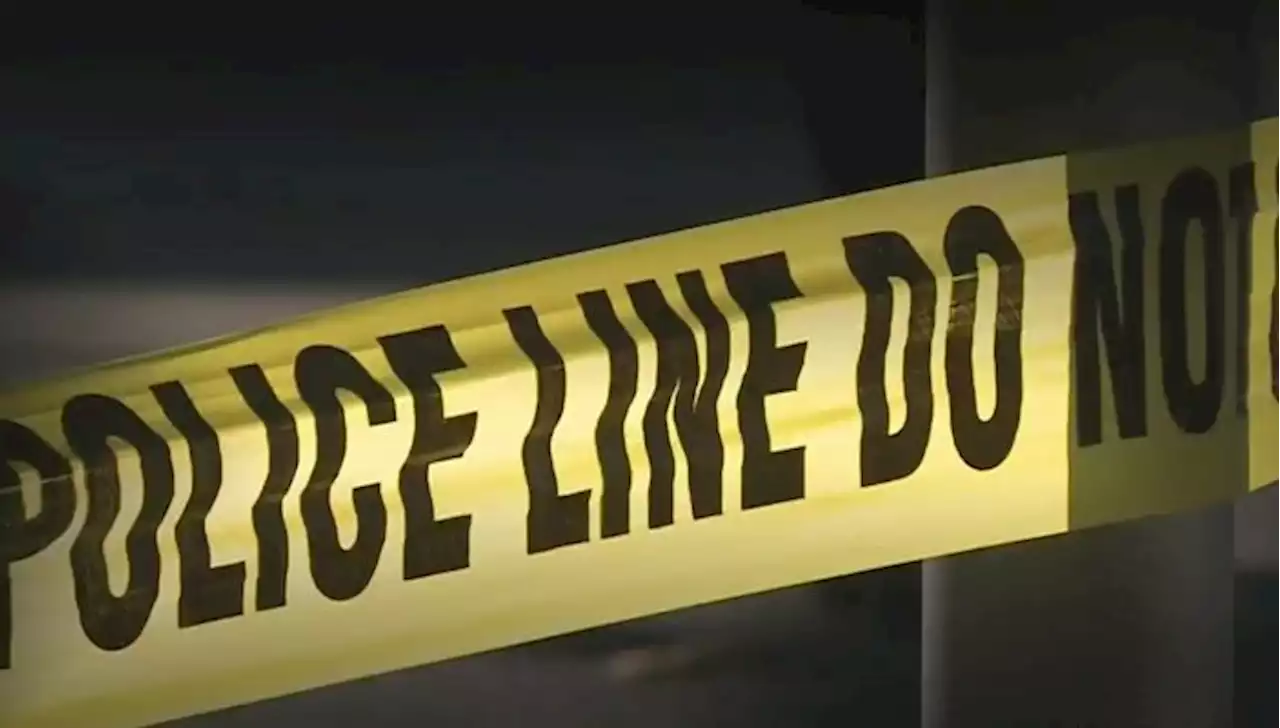 San Jose Police Investigate Eighth Homicide of Year