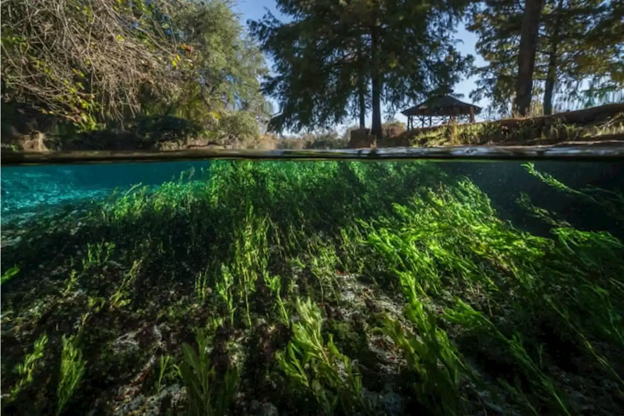 Designs released for 100-mile hiking trail connecting San Antonio and Austin