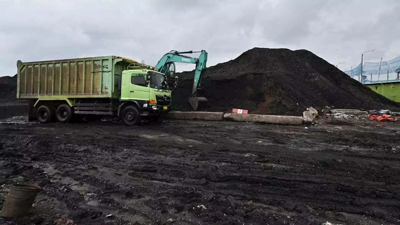 Izin Usaha Minerba Balik ke Daerah, KESDM Ingin Perpres 55 Tahun 2022 Tak Munculkan Kekacauan Perizinan