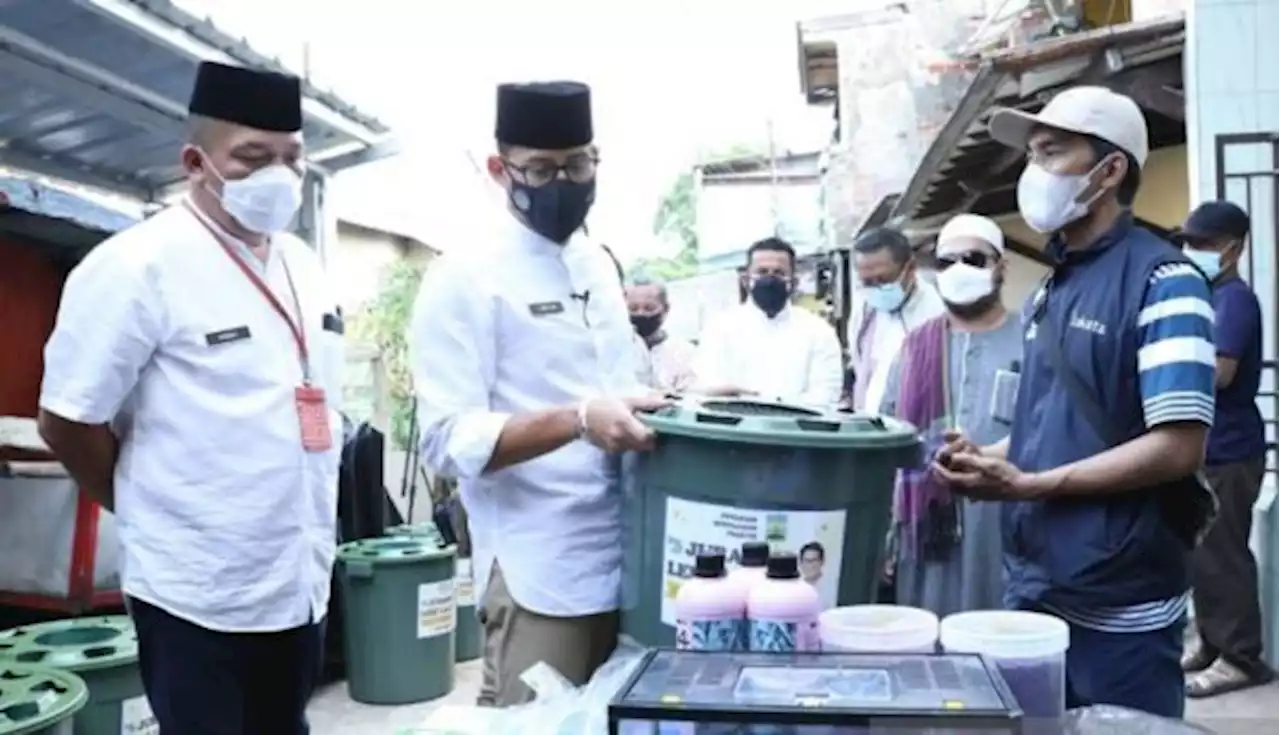 Kurangi pengangguran, Sandiaga Uno Galakkan Juragan Lele di Bidara Cina