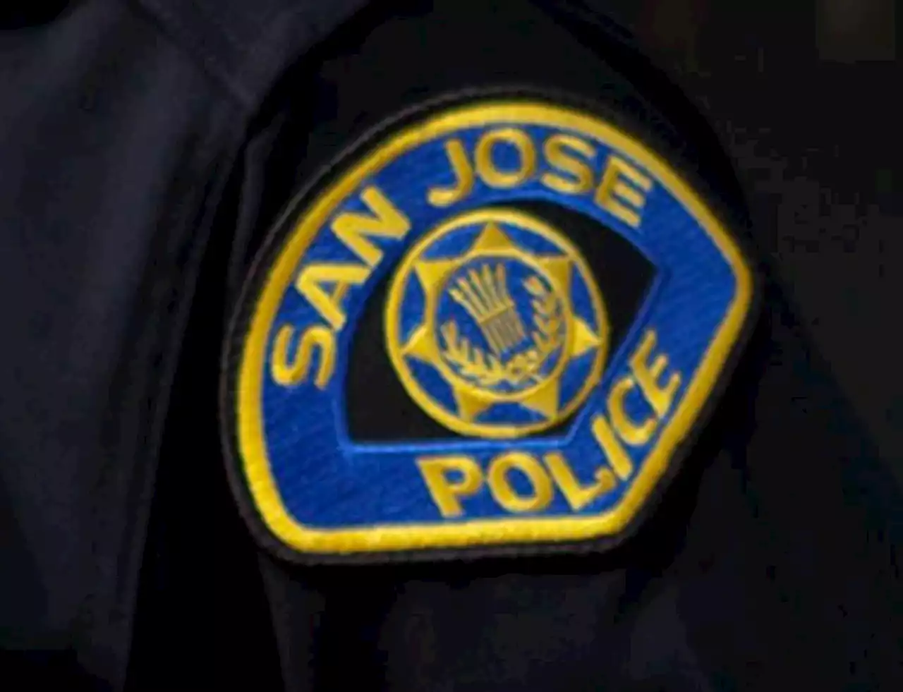 San Jose: Driver arrested on suspicion of hitting police officer with a car while fleeing sideshow activity