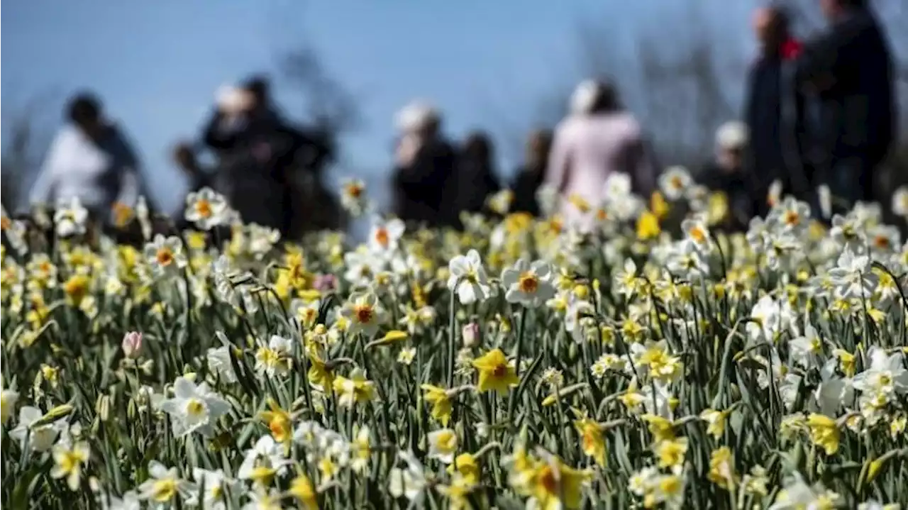 Landesgartenschau: Besucher erkunden Gelände