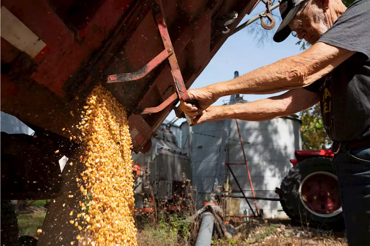 Price of Corn Hits 9-Year High as Surge in Commodities Continues