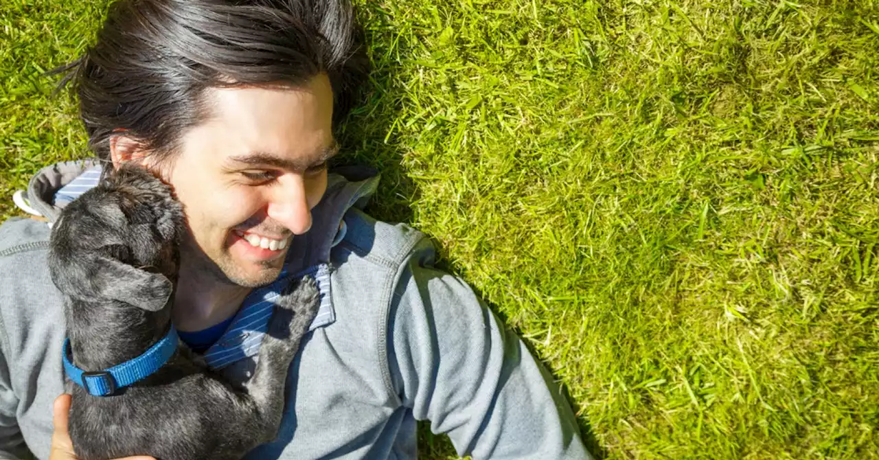 Does Having a Pet Really Benefit Your Mental Health?