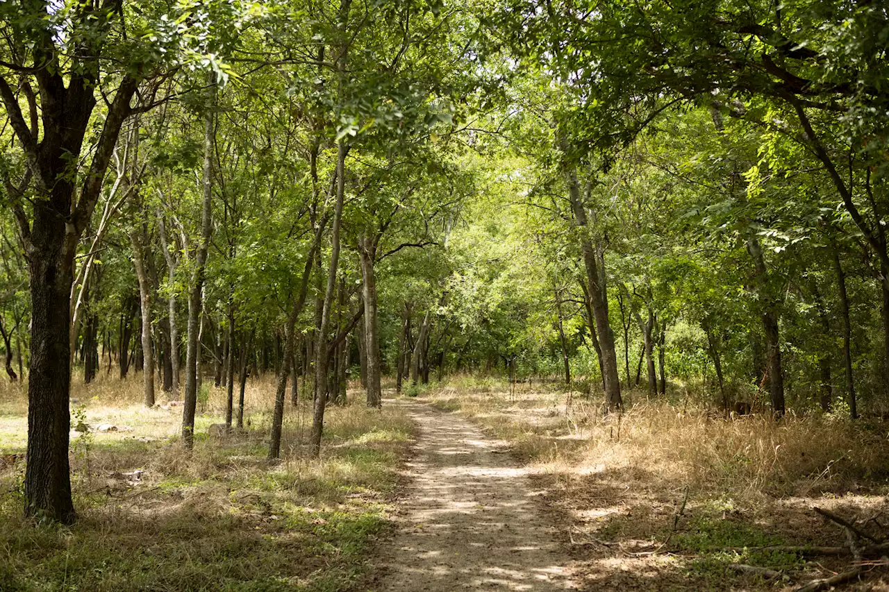 Great Springs Project releases plan for creating SA to Austin trail network