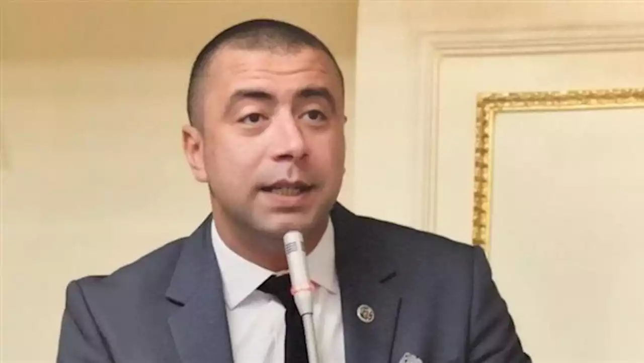 أداء الحكومة بالضرائب متواضع.. رئيس برلمانية حماة الوطن يرصد ملاحظات الهيئة على الموازنة - بوابة الشروق
