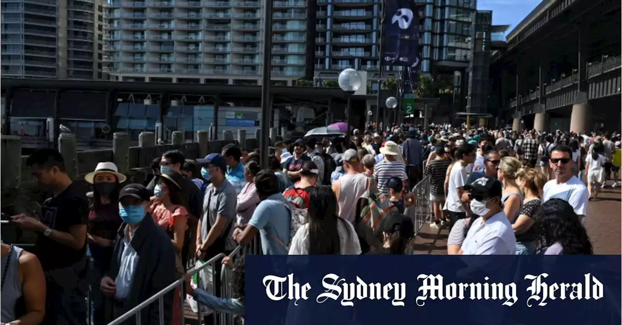 The day Sydney finally got its buzz back