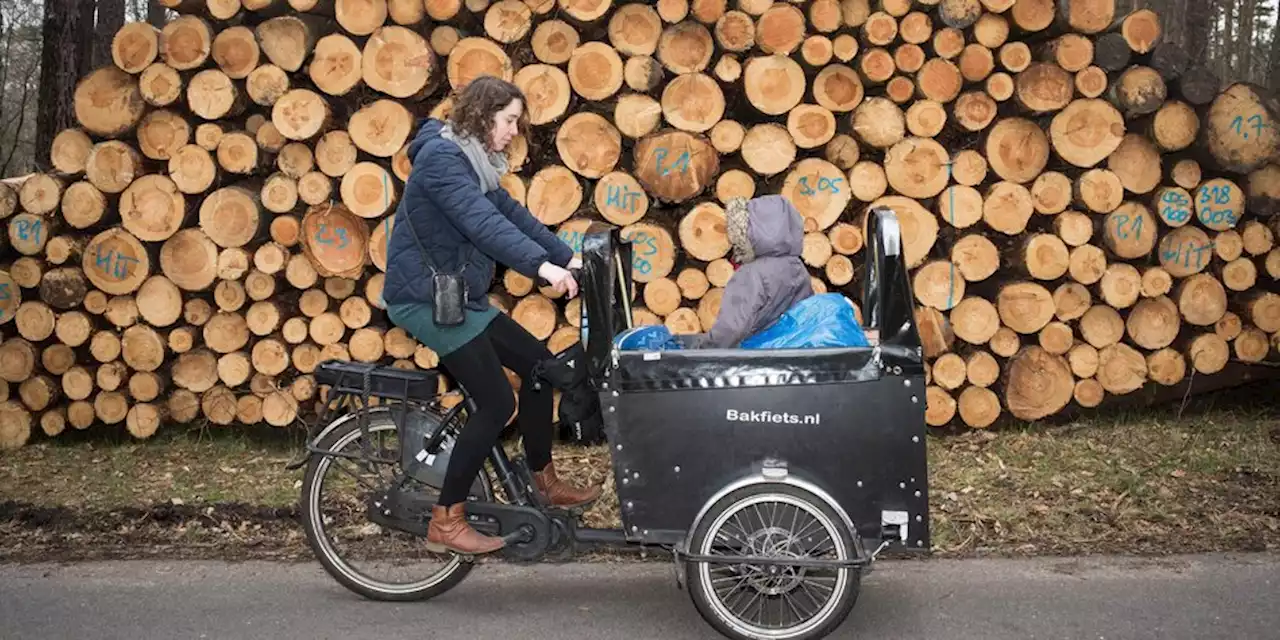 Leben ohne Auto: Kommt Zeit, kommt Rad