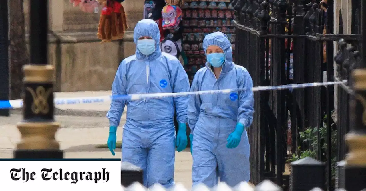 Man 'with knife' arrested after incident at Horse Guards Parade