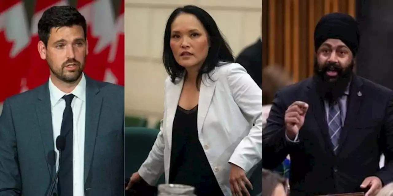 Liberals have misplaced priorities for immigration, say opposition MPs