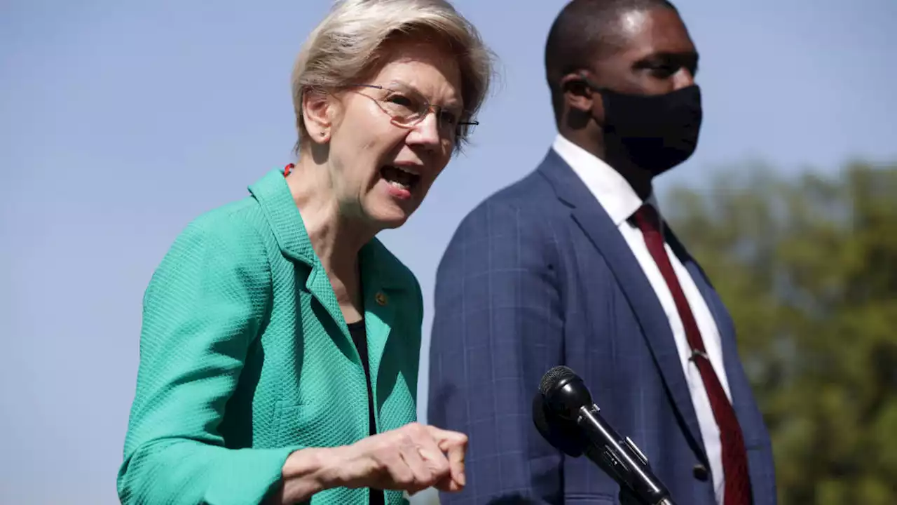 Warren Argues Windfall Profits Tax Can Help Democrats Avert Big Midterm Losses