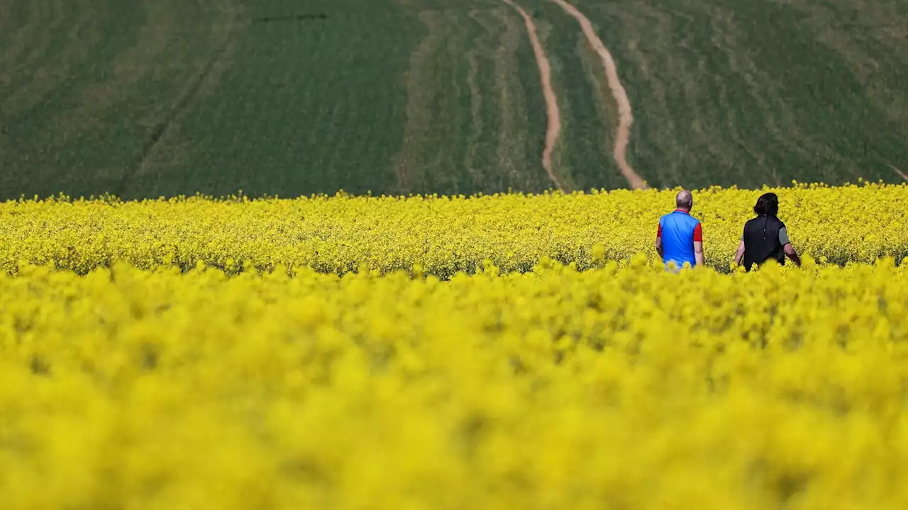 NRW geht raus: Sonnige Ostertage im Westen