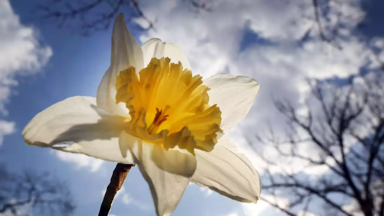 Sonnige Ostern: Auch Ostermontag bleibt es schön