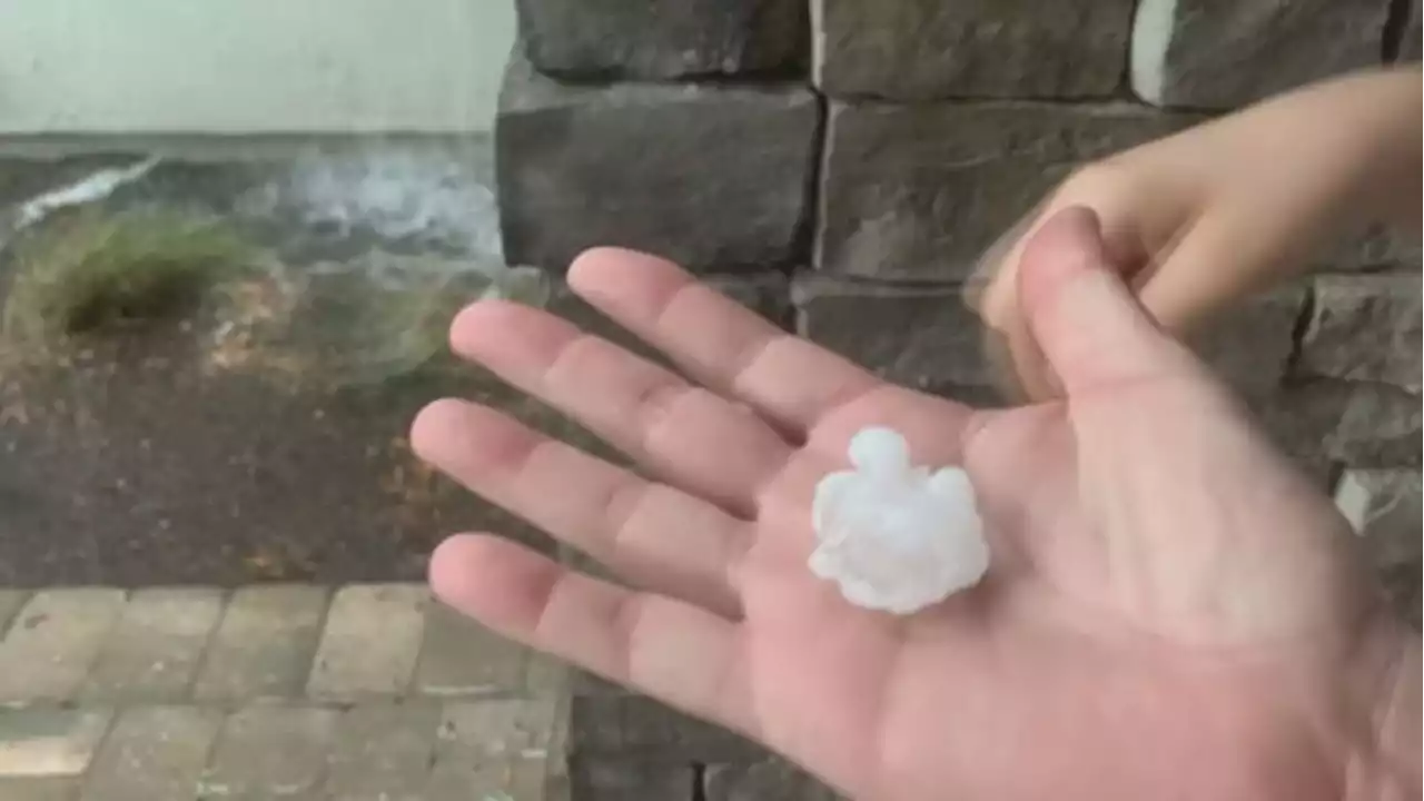 Videos, photos show large hail coming down in St. Johns County