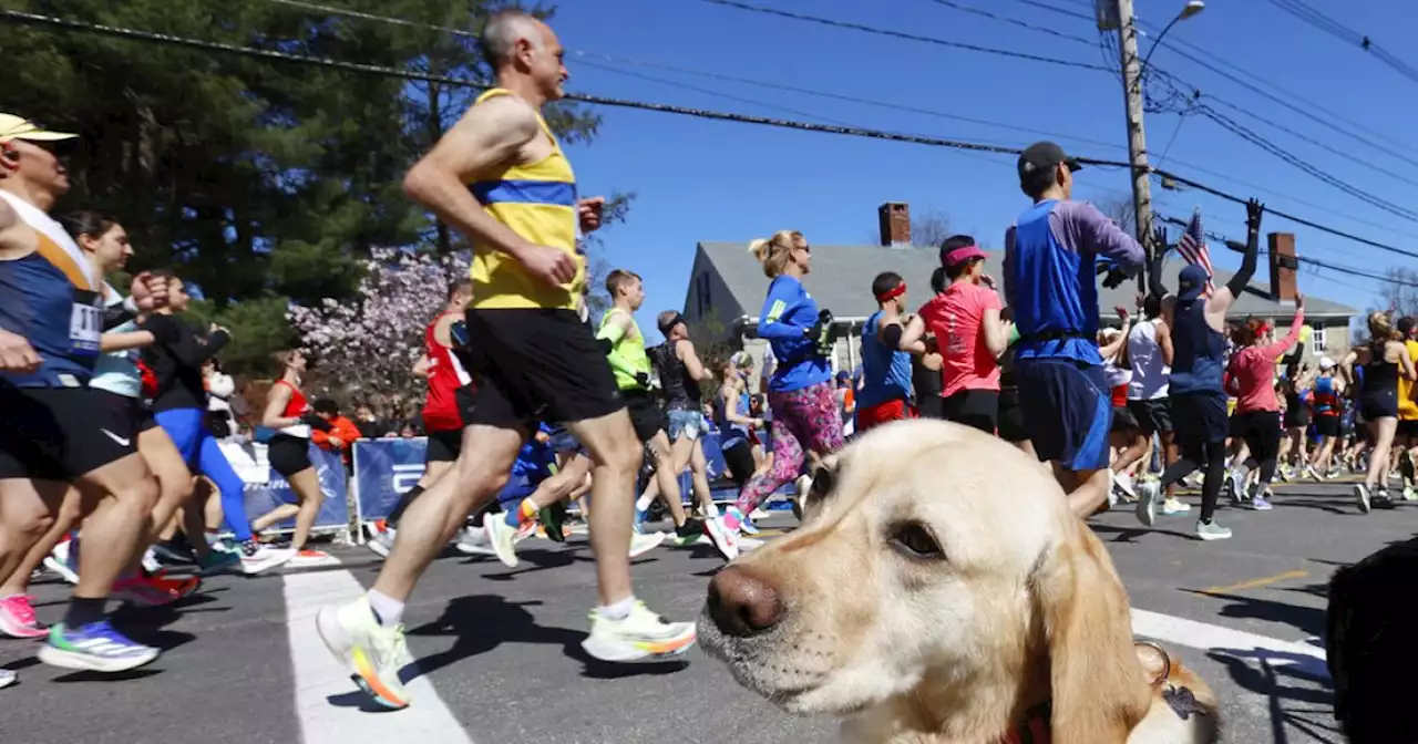 Evans Chebet, Olympic champion Peres Jepchirchir earn Boston Marathon titles, topping deep fields