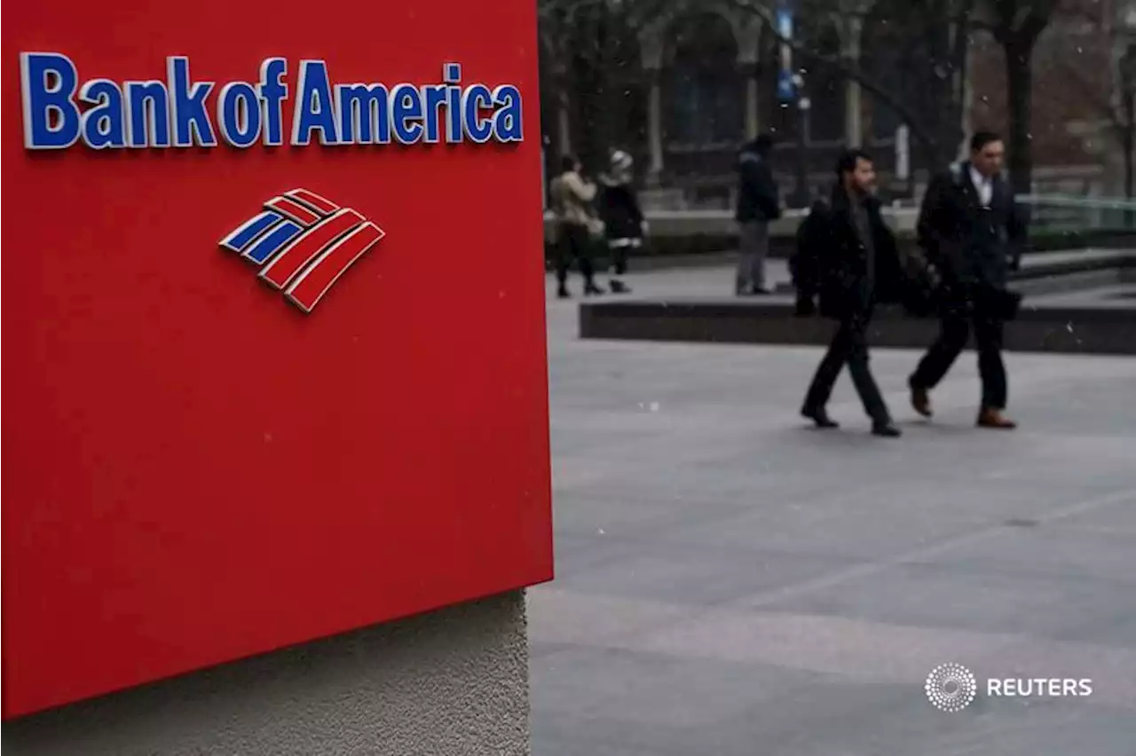 BVTV: BofA’s moment in the sun | Reuters Video