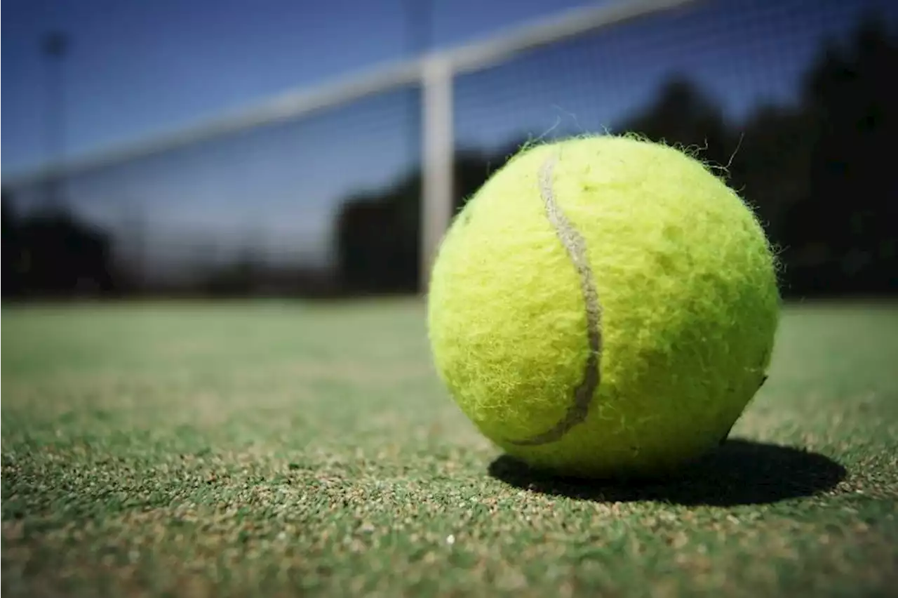 Age-group tennis tourney resumes with Dipolog leg | BusinessMirror