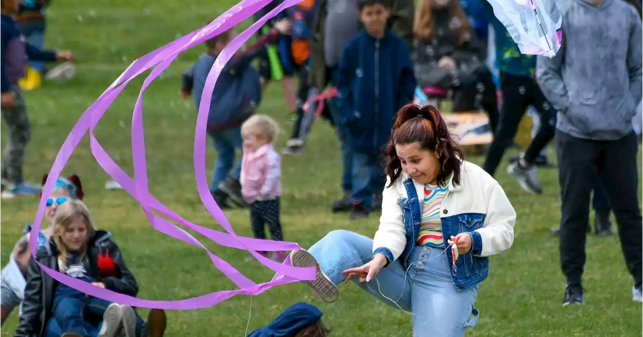 Colorful kites fly at family festival Saturday in Santa Maria park