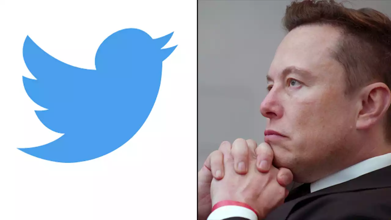 Twitter Shares Rise As Elon Musk & Jack Dorsey Slam Board Amid Speculation On Rival Bids