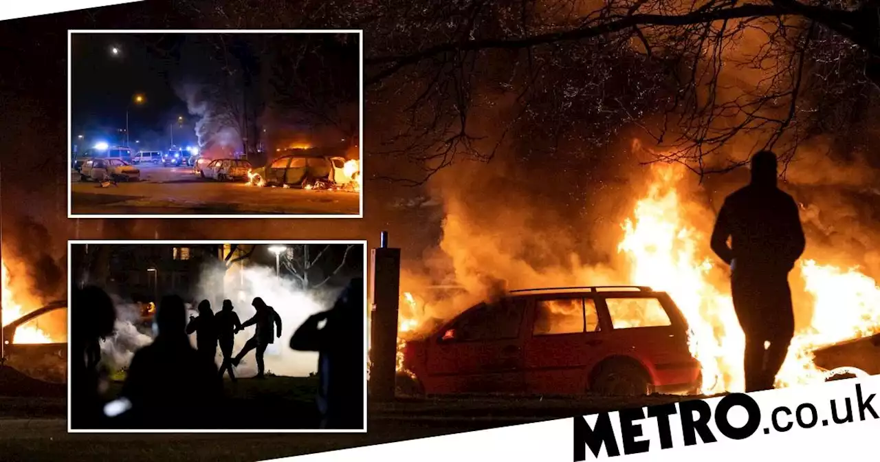 Dozens injured in Sweden after Quran burning sparks days of riots