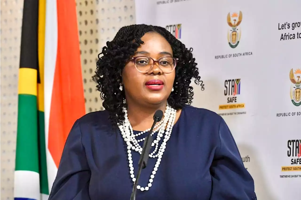 Former communications minister appointed ANC head of economic transformation