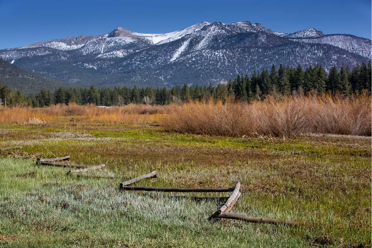 When and Where Drought-Stricken California Will See Spring Rain and Snow